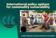 International policy options for commodity vulnerability