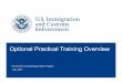 Optional Practical Training Overview