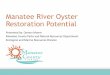 Manatee River Oyster Restoration Potential