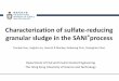 Characterization of sulfate-reducing granular sludge in 