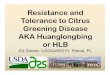 Resistance and Tolerance to Citrus Greening Disease AKA 