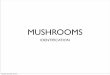 MUSHROOMS - Webs