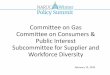 Committee on Gas Committee on Consumers & Public Interest 