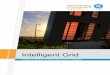 Intelligent Grid Final Report - Parliament of NSW