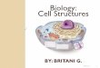 Cell Structures Biology - Weebly