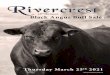 18thAnnual Black Angus Bull Sale - Cattlevids.ca