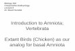 Introduction to Amniota; Vertebrata Extant Birds (Chicken 