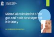 Gut Microbes and The Infant Brain - Virology Education