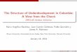 The Structure of Underdevelopment in Colombia: A View from 