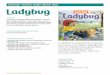 Ladybug® Teacher Guide: September 2020