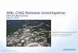 BNL CNG Release Investigation - Energy