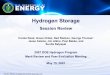 Hydrogen Storage Session Review