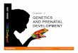 Chapter 2 GENETICS AND PRENATAL DEVELOPMENT