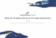 Work Experience Programmes - Roundwood Park