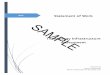 SAMPLE Technology Infrastructure Assessment