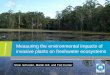 Measuring the environmental impacts of invasive plants on 