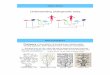 Understanding phylogenetic trees