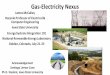Gas-Electricity Nexus
