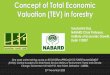 Concept of Total Economic Valuation (TEV) in forestry