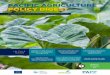 PACIFIC AGRICULTURE POLICY DIGEST - Europa