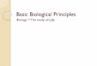 Basic Biological Principles - Schoolwires