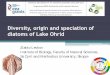 Diversity, origin and speciation of diatoms of Lake Ohrid
