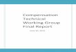 Main Body, Compensation Technical Working Group, Final Report