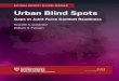 NATIONAL SECURIT FELLOWS PROGRAM Urban Blind Spots