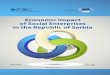 Economic Impact of Social Enterprises in the Republic of 