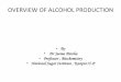 OVERVIEW OF ALCOHOL PRODUCTION - nsi.gov.in