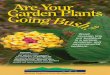 Are Your Garden Plants