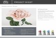 WN Project sheet - Watercolour Rose