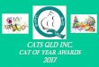 CATS QLD Inc
