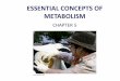 ESSENTIAL CONCEPTS OF METABOLISM