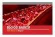 Blood Basics - shaoweezy.weebly.com