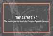 The Meeting as the Heart of a Complex Apostolic Network