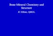 Bone Mineral Chemistry and Structure