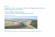 Upper San Joaquin River Regional Flood Management Plan 