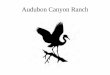 Audubon Canyon Ranch - Cal-IPC