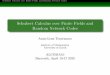 Schubert Calculus over Finite Fields and Random Network Codes