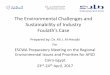 The Environmental Callenges and Sustainability of Industry
