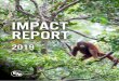 IMPACT REPORT - Environmental Justice Foundation
