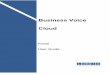 Business Voice Cloud - Voice & Data Solutions