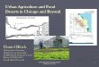 Urban Agriculture and Food Deserts in Chicago and Beyond