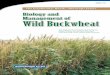 Biology and Management of Wild Buckwheat, GWC-10