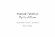 Matlab Tutorial. Optical Flow
