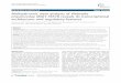 Multiple-omic data analysis of Klebsiella pneumoniae MGH 78578