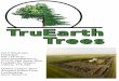 2019 Wholesale Alberta, T1S Quality ... - TruEarth Trees