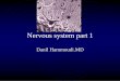 Nervous system part 1 - Sinoe Medical Association