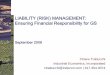 LIABILITY (RISK) MANAGEMENT: Ensuring Financial Responsibility for GS